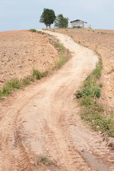 Road on the slopes of the hill area to be tilled. — Stock Photo, Image