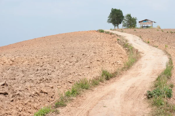 Road on the slopes of the hill area to be tilled. — Stock Photo, Image