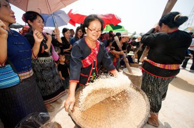 Phutai azınlık kadın harmanlayarak pirinç.