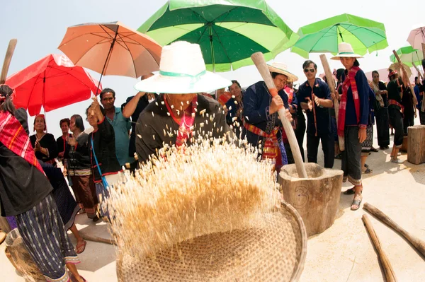 Phutai Minorité Femme Winnowing Riz . — Photo