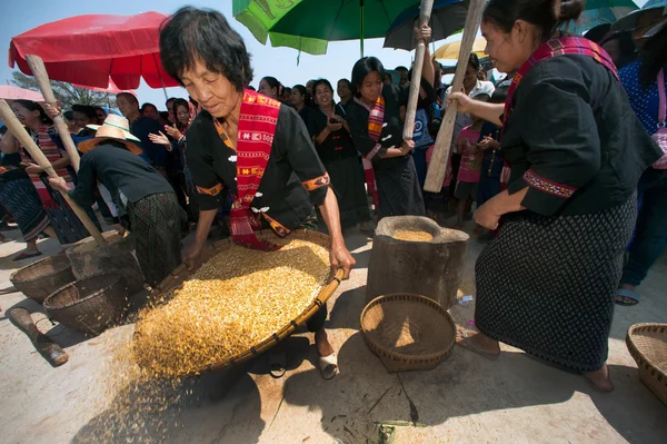 Phutai minoría mujer aventando arroz. —  Fotos de Stock
