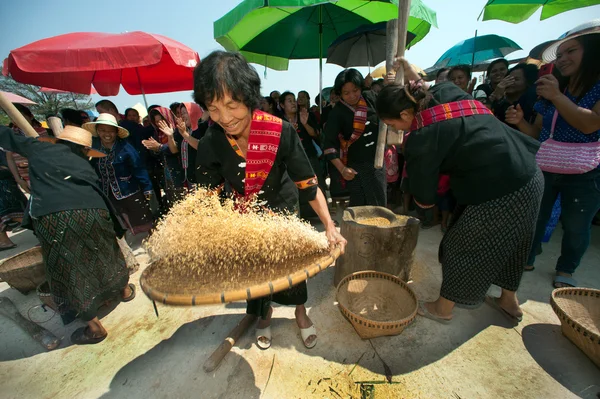 Phutai minoría mujer aventando arroz. —  Fotos de Stock