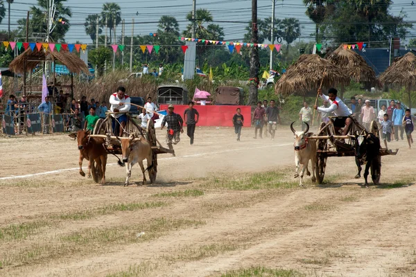 Ox cart racing in Thailand. — Stock Photo, Image