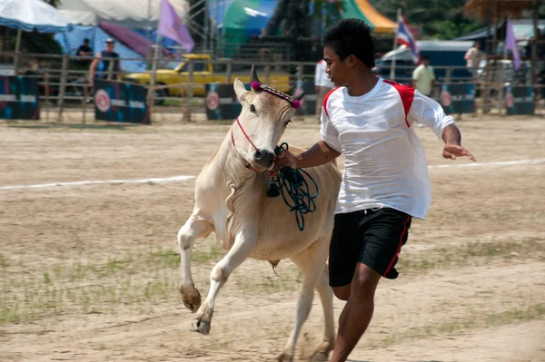 Racing took the bull with his bare handsart in Thailand.
