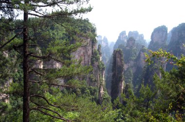Gizemli dağlar Zhangjiajie, Hunan eyaleti Çin.