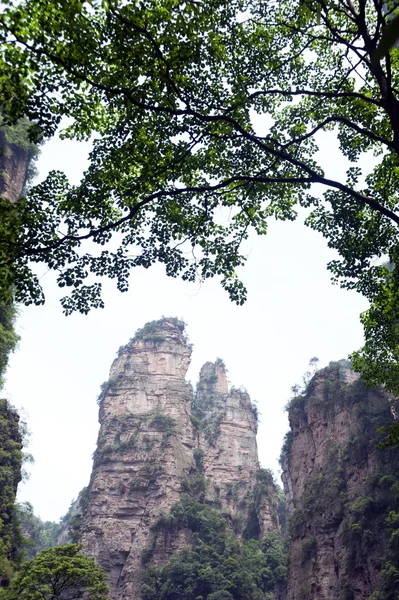 Montañas misteriosas Zhangjiajie, provincia de Hunan en China . — Foto de Stock