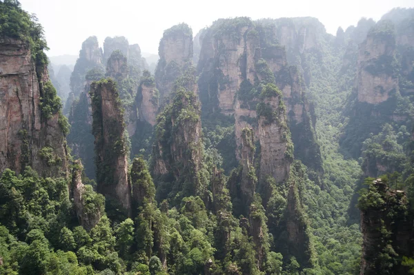 Titokzatos hegyek Zhangjiajie, Hunan Province, Kína. — Stock Fotó