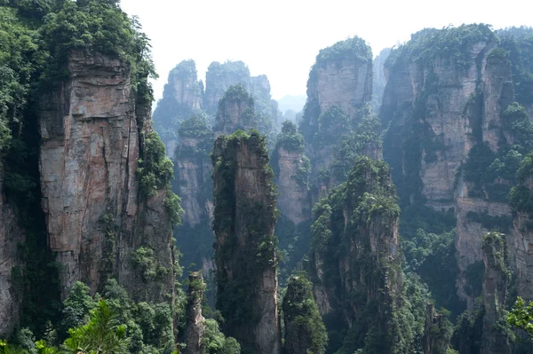 Mystérieuses montagnes Zhangjiajie, province du Hunan en Chine . — Photo