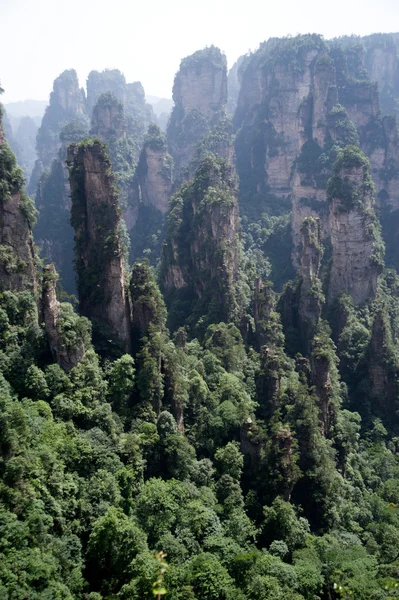 Gizemli dağlar Zhangjiajie, Hunan eyaleti Çin. — Stok fotoğraf