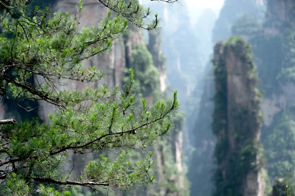 Montanhas misteriosas Zhangjiajie, província de Hunan, na China . — Fotografia de Stock