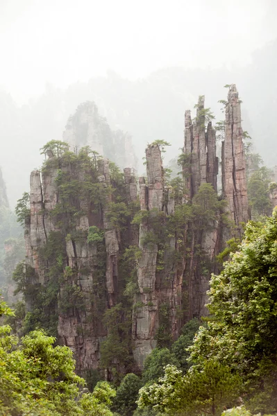 Gizemli dağlar Zhangjiajie, Hunan eyaleti Çin.
