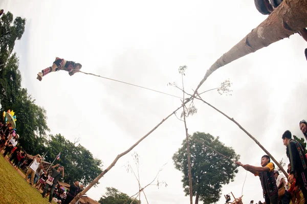 The Akha swing festival. — Stock Photo, Image