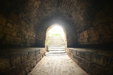 Daulatabad Kalesi, Hindistan 'ın Maharashtra şehrinde bulunan eski bir kaledir. Başlangıçta adı Deogiri idi, kale doğal kayalardan yapılmıştır ve çok güçlüdür. Doğal kayalardan yapılmış ve çok güçlü bir kale. Şimdi tarihi binalarla turistik bir yer oldu..