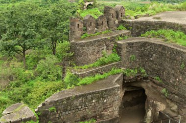 Daulatabad Kalesi, Hindistan 'ın Maharashtra şehrinde bulunan eski bir kaledir. Başlangıçta adı Deogiri idi, kale doğal kayalardan yapılmıştır ve çok güçlüdür. Doğal kayalardan yapılmış ve çok güçlü bir kale. Şimdi tarihi binalarla turistik bir yer oldu..