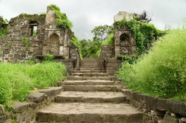 Daulatabad Kalesi, Hindistan 'ın Maharashtra şehrinde bulunan eski bir kaledir. Başlangıçta adı Deogiri idi, kale doğal kayalardan yapılmıştır ve çok güçlüdür. Doğal kayalardan yapılmış ve çok güçlü bir kale. Şimdi tarihi binalarla turistik bir yer oldu..