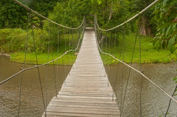 Puente colgante en el bosque . — Foto de Stock