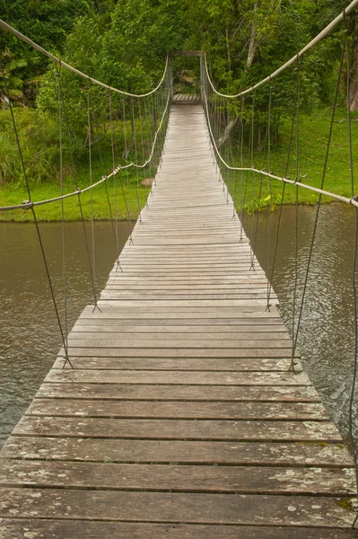 Puente colgante en el Parque Nacional Khao Yai, Tailandia —  Fotos de Stock