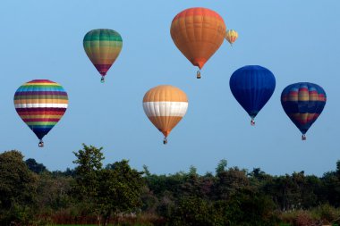Tayland uluslararası balon Festivali 2009 yılında sıcak hava balonu.