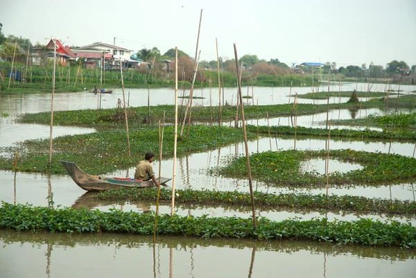Thaise traditionele visser in rivier. — Stockfoto