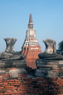Antik Buda Wat Chaiwatthanaram, Ayutthaya tarihi Park Tayland.
