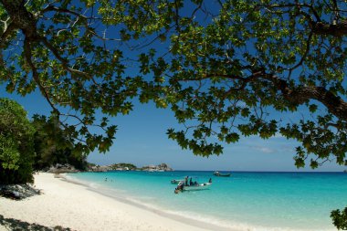 Similan güzel bir ada Tayland.