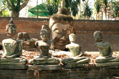 Eski açık Buda Wat Umong Suan Puthatham, Tayland.