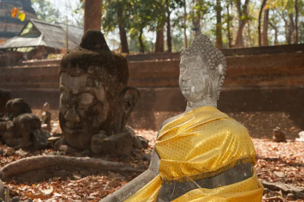 Ancient outdoor Buddha in Wat Umong Suan Puthatham,Thailand. — Stock Photo, Image