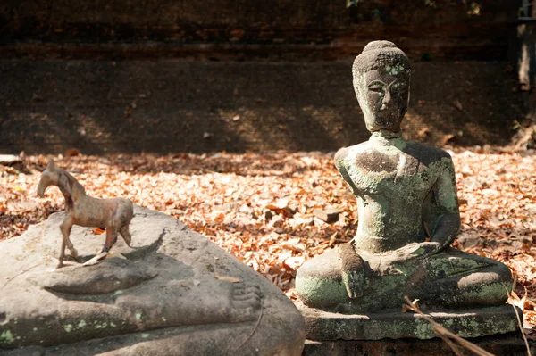Eski açık Buda Wat Umong Suan Puthatham, Tayland. — Stok fotoğraf
