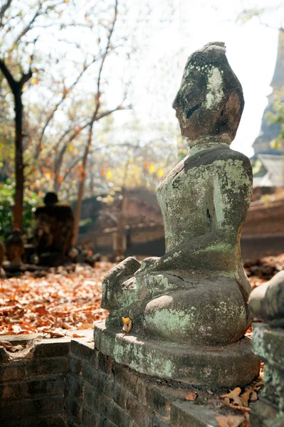 Eski açık Buda Wat Umong Suan Puthatham, Tayland. — Stok fotoğraf