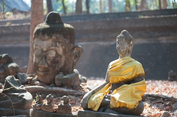 Eski açık Buda Wat Umong Suan Puthatham, Tayland. — Stok fotoğraf