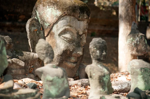 Starobylé venkovní Buddha ve Wat Umong Suan Puthatham, Thajsko. — Stock fotografie