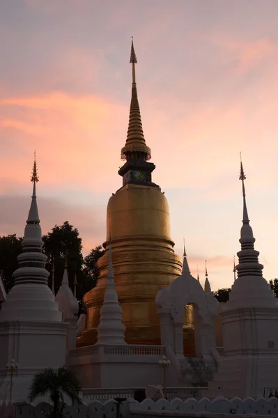 Crepúsculo cenas de Wat Suan Dok templo em Chiang Mai, Tailândia . — Fotografia de Stock