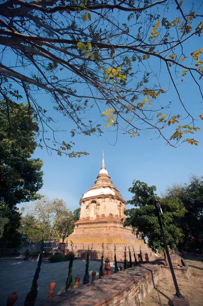 Tilokarat Chedi af Wat Jhet Yot templet i Chaing Mai, Thailand . - Stock-foto