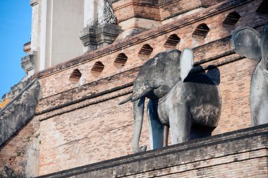 Fil heykeli antik Pagoda Wat Chedi Luang, Chiang Mai,