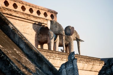 Fil heykeli antik Pagoda Wat Chedi Luang, Chiang Mai,