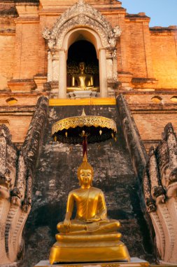 Altın oturma üstünde Wat Chedi Luang antik Pagoda Buda.