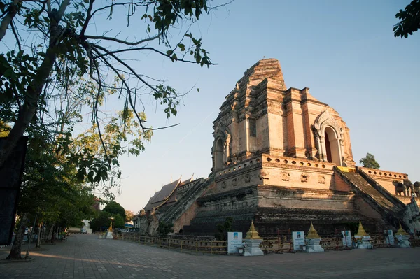 ワット チェディ ルアン、チェンマイ、タイの古代の仏塔. — ストック写真