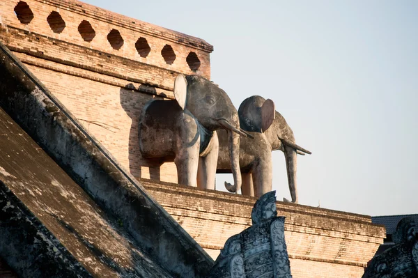 Estátua de elefante do antigo Pagode em Wat Chedi Luang, Chiang Mai , — Fotografia de Stock