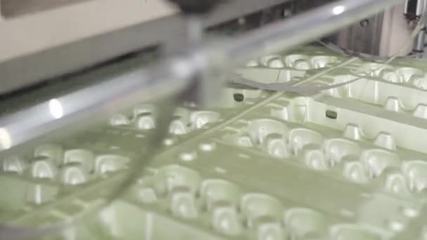 Planta Fabricación Envases Alimentos Desechables Línea Producción Contenedores Huevos Trabajo — Vídeos de Stock
