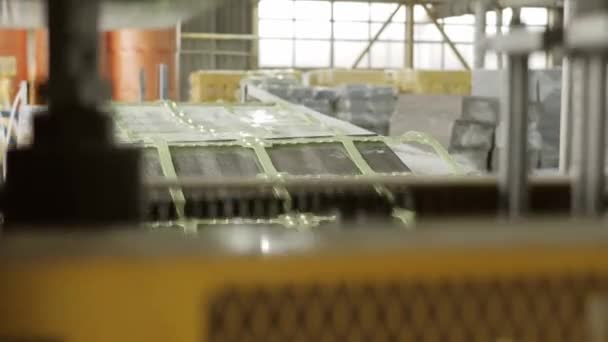 Planta Fabricación Envases Alimentos Desechables Línea Producción Contenedores Huevos Trabajo — Vídeo de stock