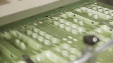 Tek kullanımlık gıda donanım üretim tesisi, yumurta konteynırları üretim hattı. Yüksek performanslı otomatikleştirilmiş makineler üzerinde çalış. Makineler süpermarkette yumurtalar için paketleme yapıyorlar.
