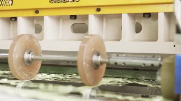 Одноразовий Завод Виробництва Харчових Упаковок Виробнича Лінія Яєчних Контейнерів Робота — стокове відео