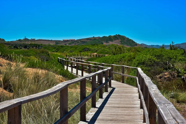 Paisagem Arborizada Ilha Menorca Com Caminho Pedra Areia — Fotografia de Stock