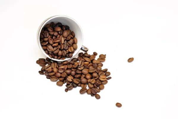 Cup prickar med kaffebönor isolerad på vit bakgrund — Stockfoto