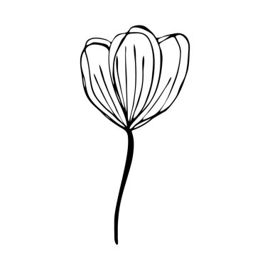 Soyut vektör çiçek çizimi. Siyah beyaz el illüstrasyonu