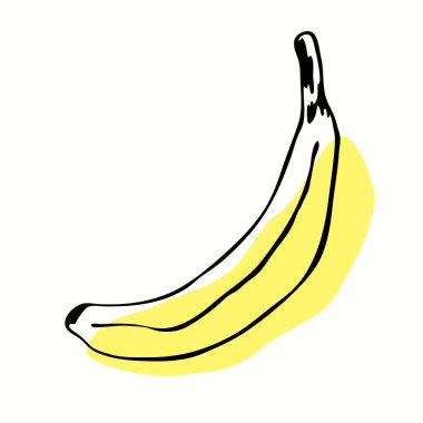 Bir muzun tek vektör çizimi. Olgun meyvelerin çizgisi