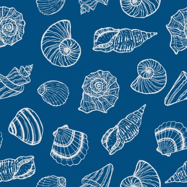 Deniz kabuklu, pürüzsüz bir deniz şablonu. Yaz zamanı, deniz, su altı deniz kabukları.