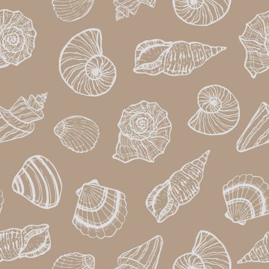 Deniz kabuklu, pürüzsüz bir deniz şablonu. Yaz zamanı, deniz, su altı deniz kabukları.