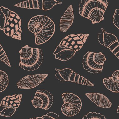 Deniz kabuklu, pürüzsüz bir deniz şablonu. Yaz zamanı, deniz, su altı deniz kabukları.