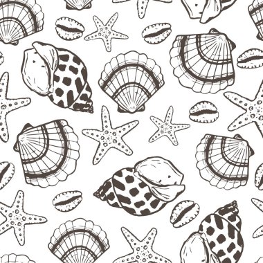 Deniz kabuğu ve deniz yıldızı desenli bir deniz kabuğu. Yaz zamanı, deniz, su altı deniz kabukları.